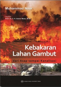 Image of Kebakaran Lahan Gambut dari Asap sampai Kanalisasi