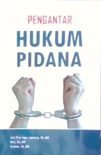 Image of Pengantar hukum Pidana